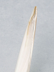 Mother of Pearl Letter Opener