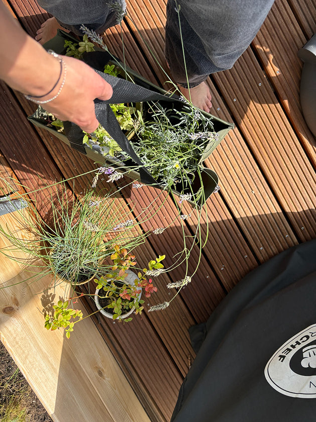 Eine Hand hält eine Tasche mit Pflanzen