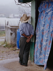 Sagastume coffee beans