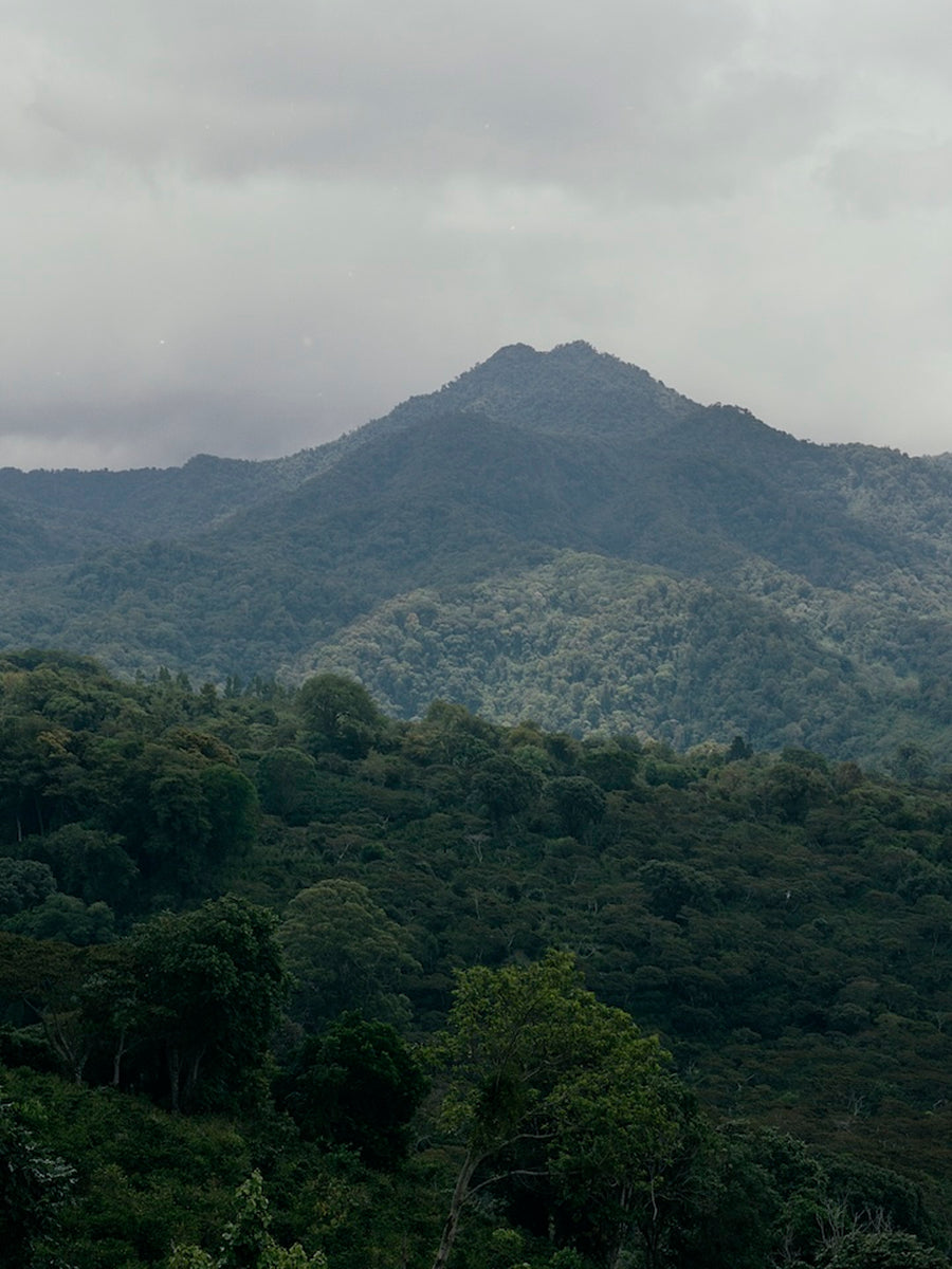 La Cabra Moodbild Berge