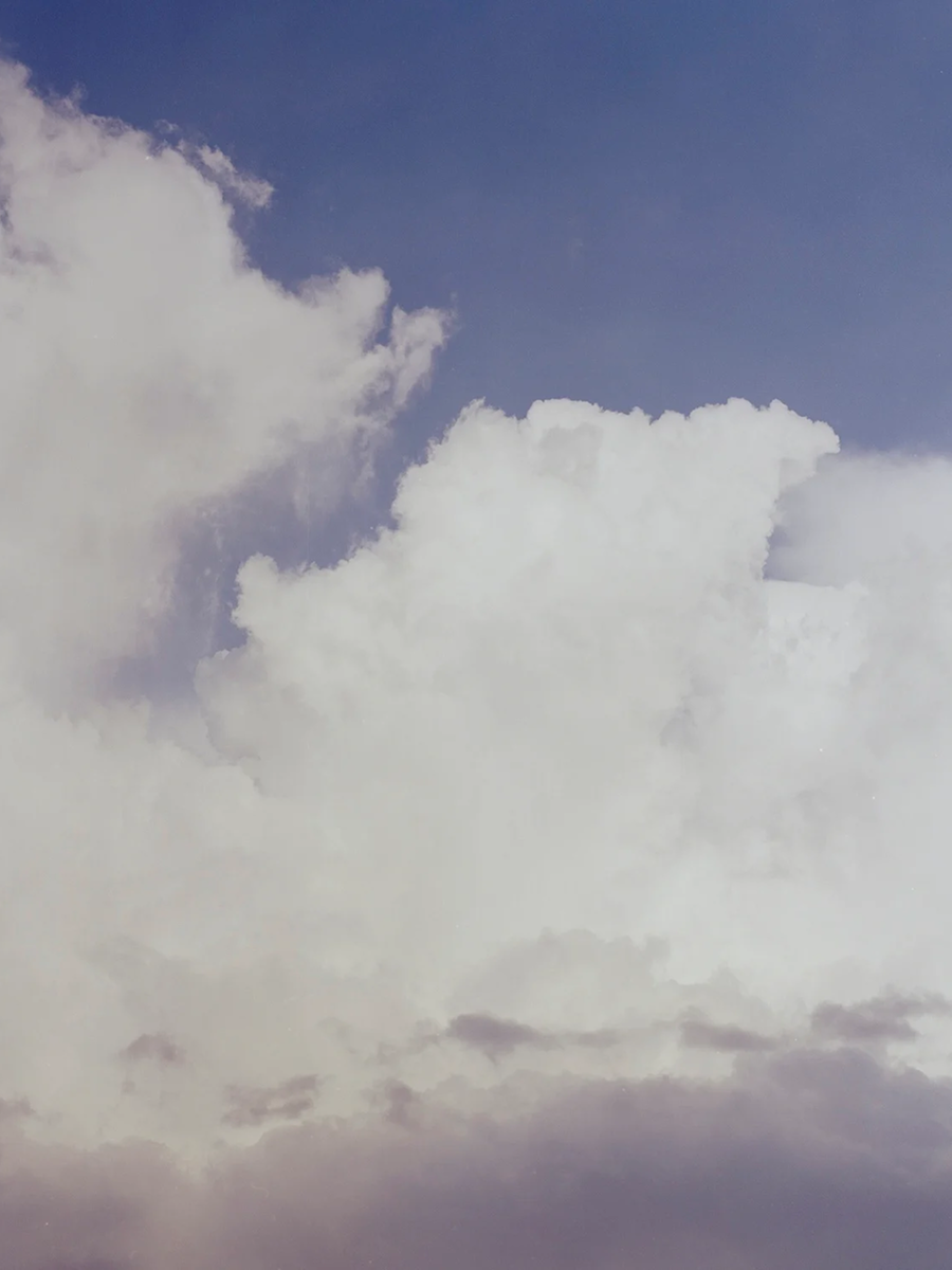 Las Palmas coffee beans