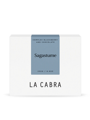 Sagastume coffee beans