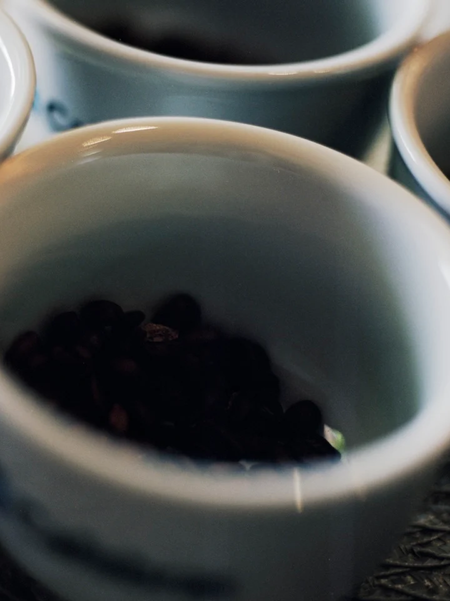 Sítio Maracatu coffee beans